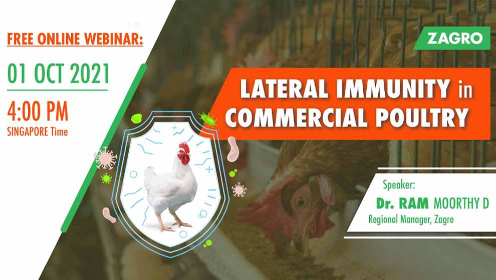 strengthening-immunity-systems-of-poultry-animals